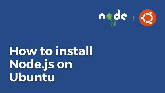 Js ubuntu npm