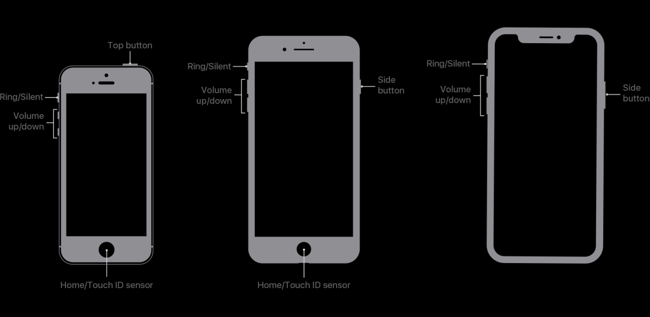 Cara capture iphone