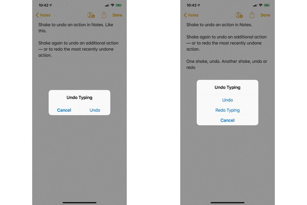 Iphone undo notes settings step open