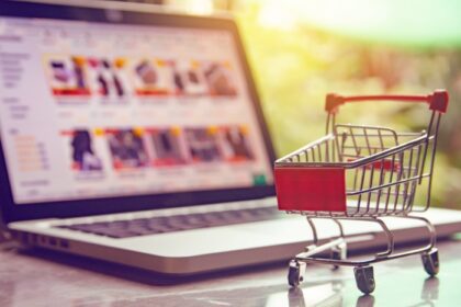 Web hosting with shopping cart