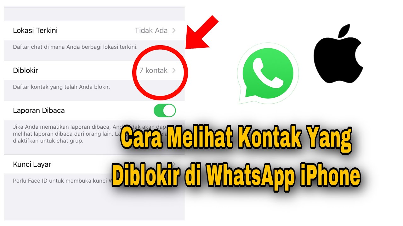 Cara melihat kontak wa yang terhapus