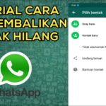 Cara mengembalikan kontak yang terhapus di wa