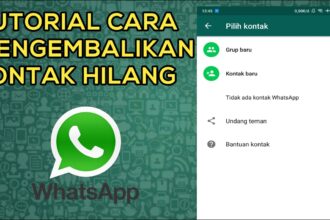 Cara mengembalikan kontak yang terhapus di wa