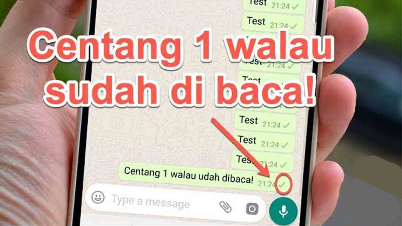 Cara agar whatsapp centang satu