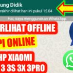 Cara agar wa ceklis 1 tapi online