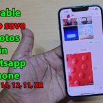 Cara agar foto whatsapp tidak tersimpan otomatis di galeri iphone