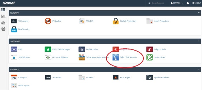 Version php cpanel change