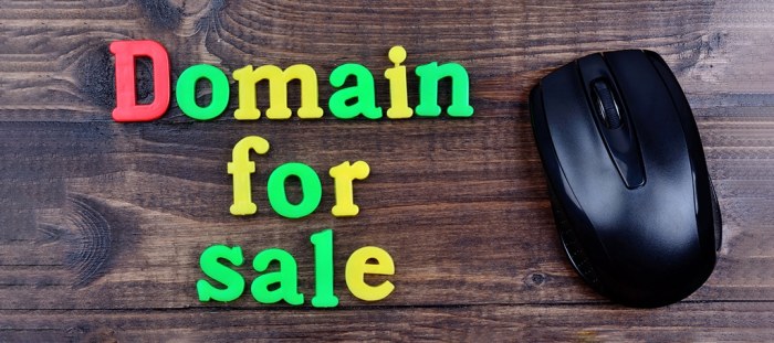 Name domain sell wikihow step