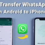 Cara memindahkan chat whatsapp dari android ke iphone