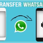 Cara memindahkan whatsapp dari iphone ke android