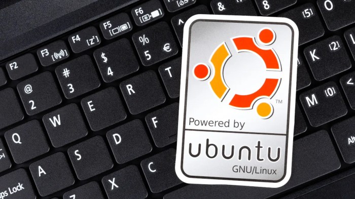 Fungsi ubuntu