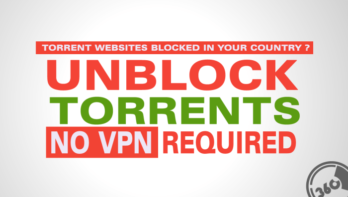 Unblock blocked tor browser