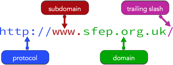 Website domain