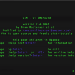 Vi text editor