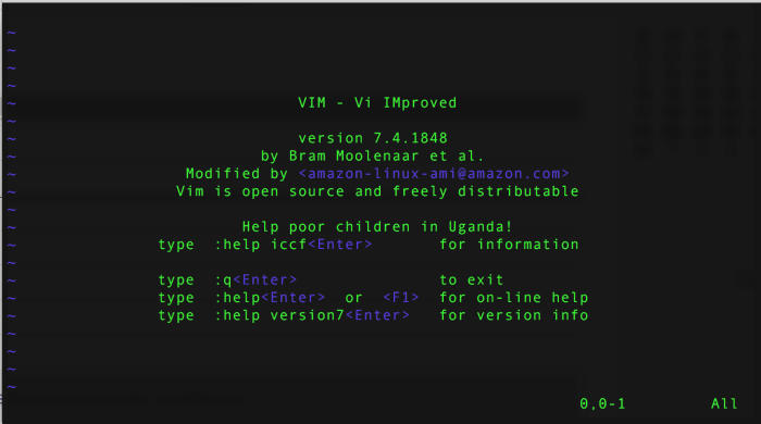 Vi text editor