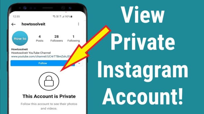 Cara melihat akun instagram yang di private android