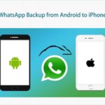 Cara backup wa dari android ke iphone