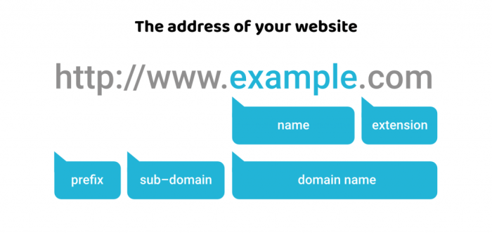 Website domain