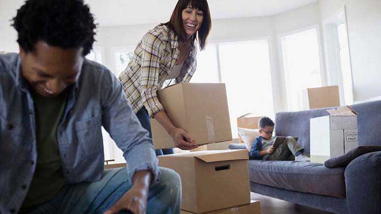 State farm apartment renters insurance