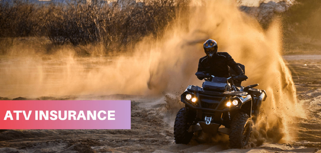 State farm atv insurance