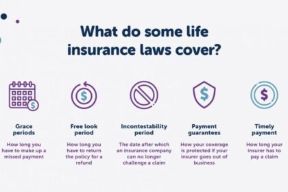 Insurance laws