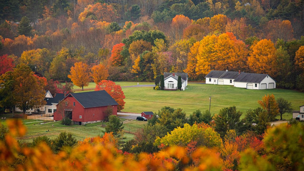 Maine state insurance