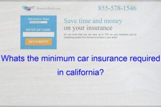 Insurance state auto minimums infographic embed above want website click