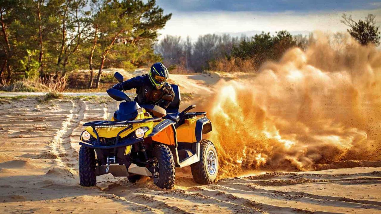 State farm atv insurance