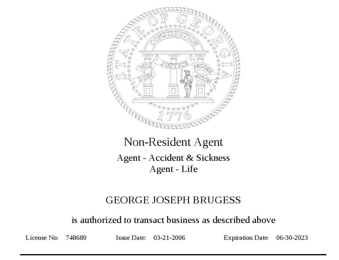 State of georgia insurance laws