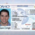 State insurance fund idaho