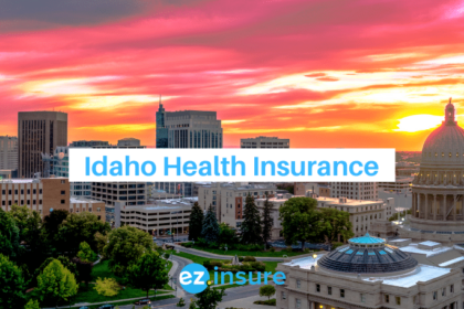 Idaho state insurance