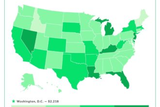 Car insurance by state