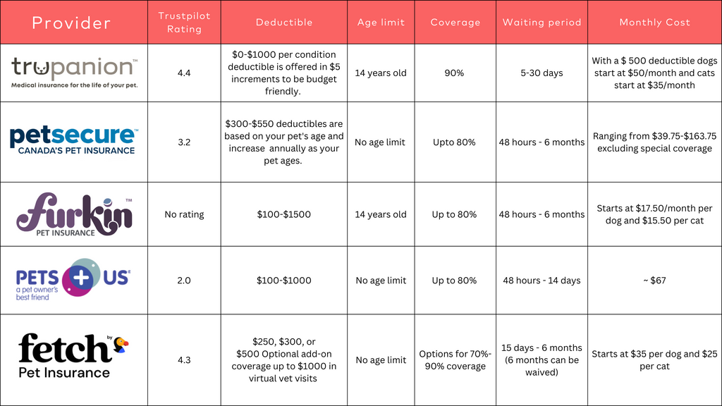 Insurance wellkeptwallet wallet