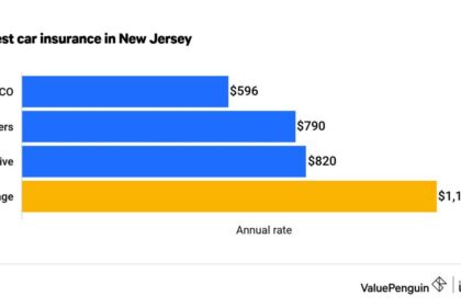 Nj state car insurance