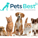 Best pet insurance in washington state