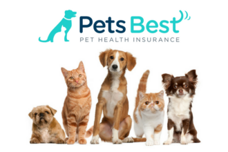 Best pet insurance in washington state