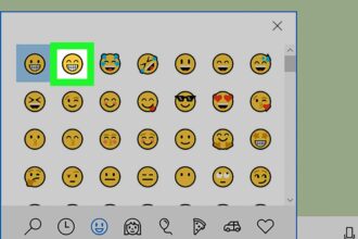 Cara menggunakan emoji di laptop windows 7