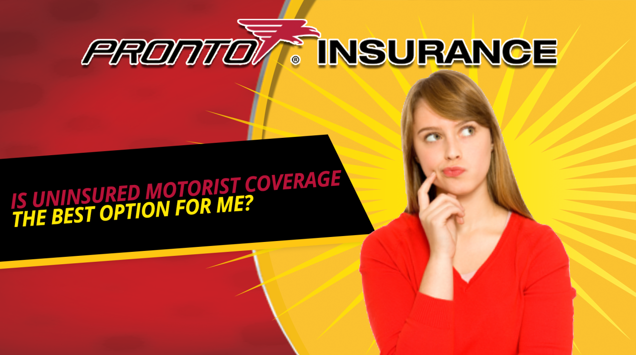 Car insurance quotes texas state farm