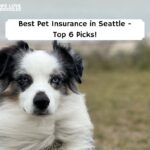 Best pet insurance washington state reddit