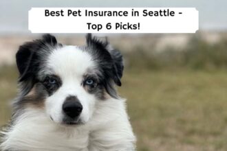 Best pet insurance washington state reddit