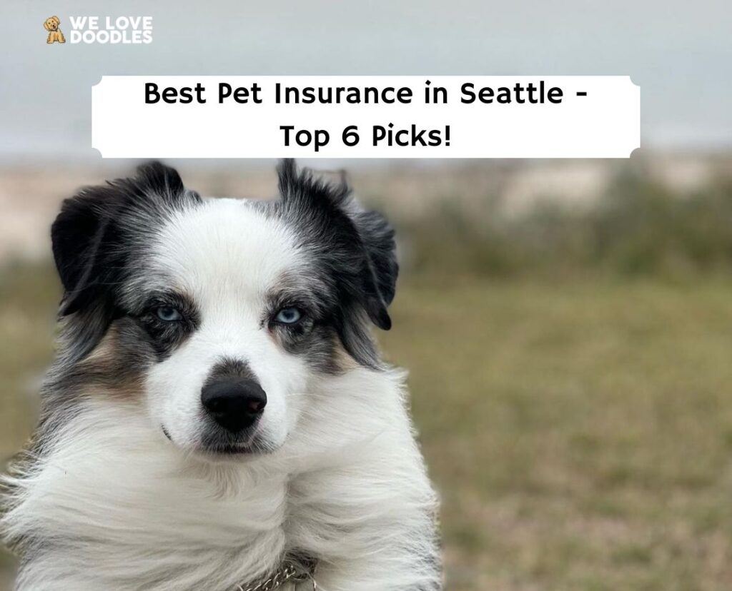 Best pet insurance washington state reddit