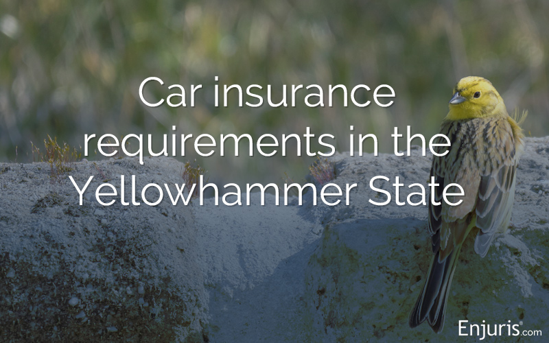 Insurance minimum car requirements auto repair tn otua aug