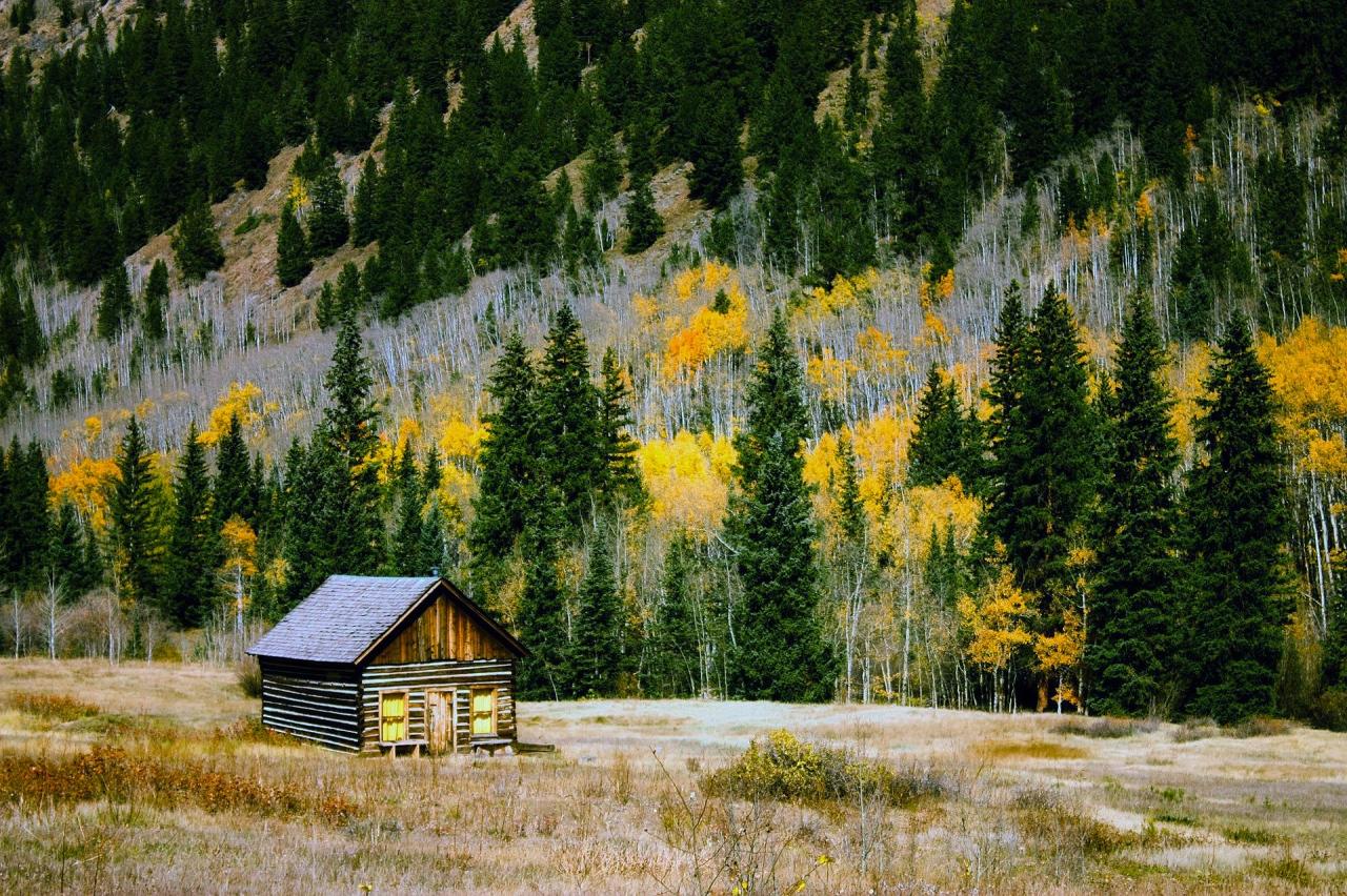 Colorado state insurance board