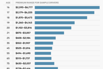 State farm auto insurance estimate