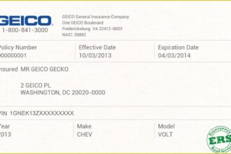 State insurance auto minimums infographic