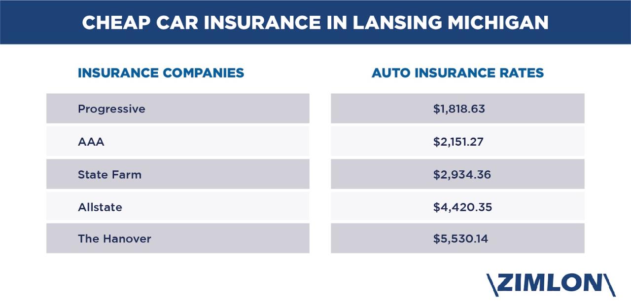 State of michigan car insurance