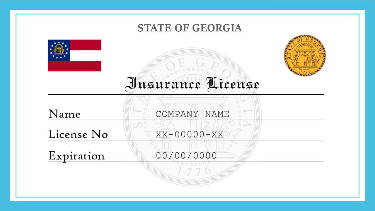 Ga state minimum insurance requirements