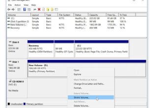 Partition shrink volume which