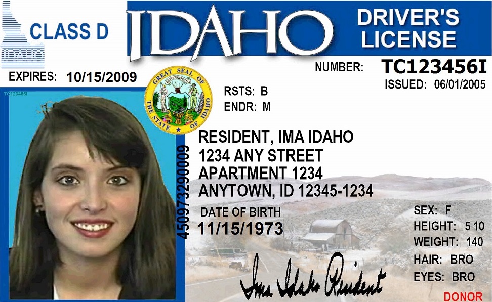 Idaho state department of insurance