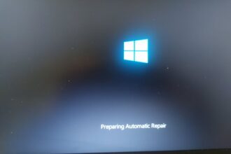 Bsod bug restarting